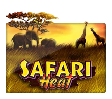 Joker123 : Safari Heat - AGENT188