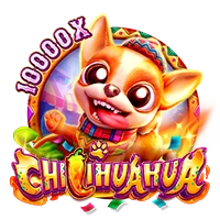 Facai : CHILIHUAHUA - AGENT188