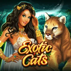 Exotic Cats - AGENT188