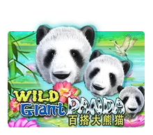 Joker123 : Wild Giant Panda - AGENT188
