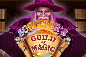 Sorcerers Guild of Magic - AGENT188