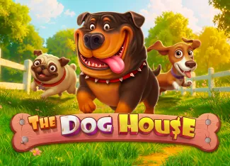 Pragmatic : The Dog House - AGENT188