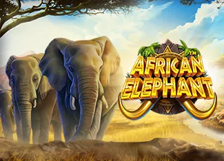 Pragmatic : African Elephant - AGENT188